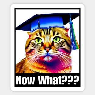 Now What? Clueless Cat - Graduation Themed Design Sticker